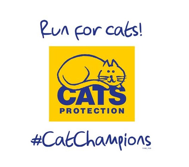 Fundraising for Cats Protection